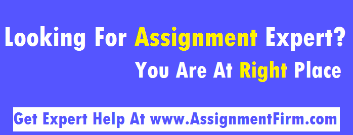 Assignment Expert