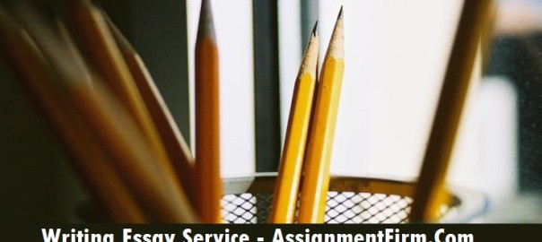Essay Writing Service