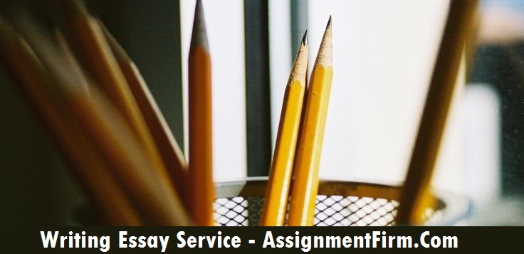 Essay Writing Service