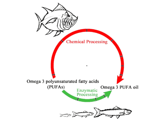 Long-chain polyunsaturated fatty acids: the case for and against the supplementation of infant formula