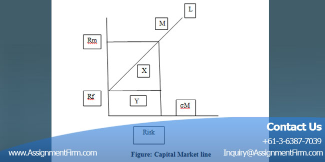 Capital Asset Pricing Model Issues And Capital Budgeting : Financial Management 2 Financial Management