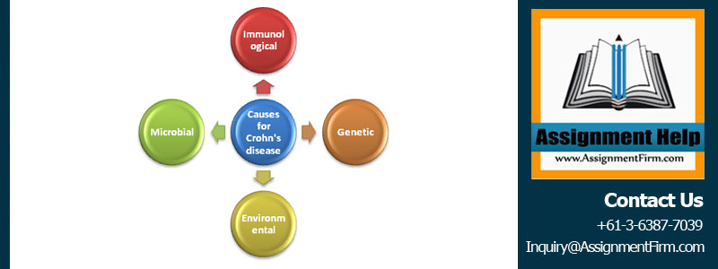 Healthcare Management