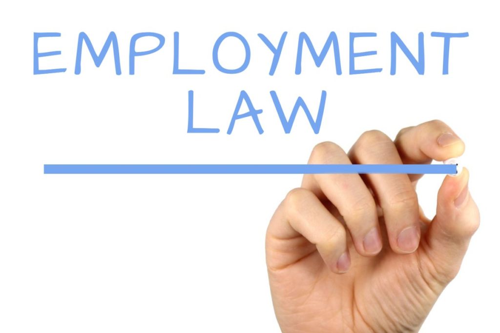 BUSM4591 Employment Law Assessment Help - RMIT University 1 BUSM4591 Employment Law Assignment