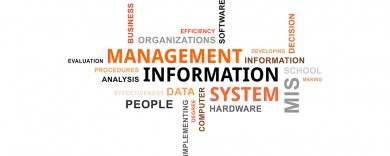 ISY2007 Management Information Systems