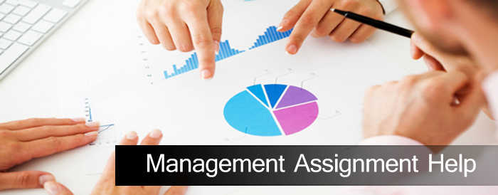 management assignment help