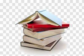 SOCA6571 Essay 2- Case Study - Newcastle University Australia. 