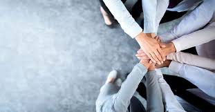 BMO6050 Leadership Assignment Victoria University Australia. 2 BMO6050 Leadership Assignment Victoria University Australia.