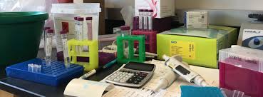 PSYCM7020 Research Proposal Presentation Assignment-Australia. 2 PSYCM7020 Research Proposal Presentation Assignment-Australia.