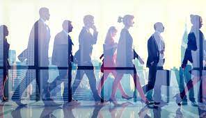 BIZ102 Understanding People And Organisations Assessment - Torrens University Australia. 2 BIZ102 Understanding People And Organisations Assessment - Torrens University Australia.